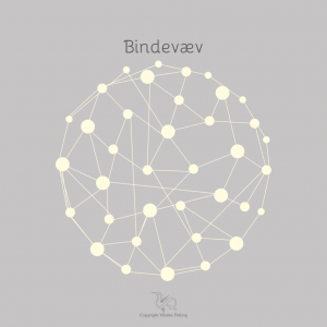 Bindevæv