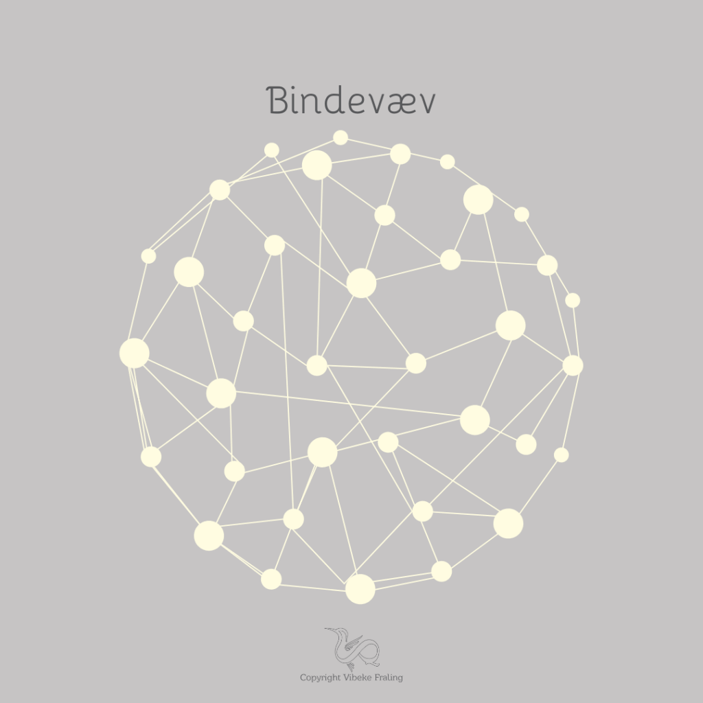 Bindevæv