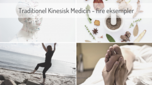 Traditionel Kinesisk Medicin