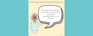 Einstein-idioti-citat cover