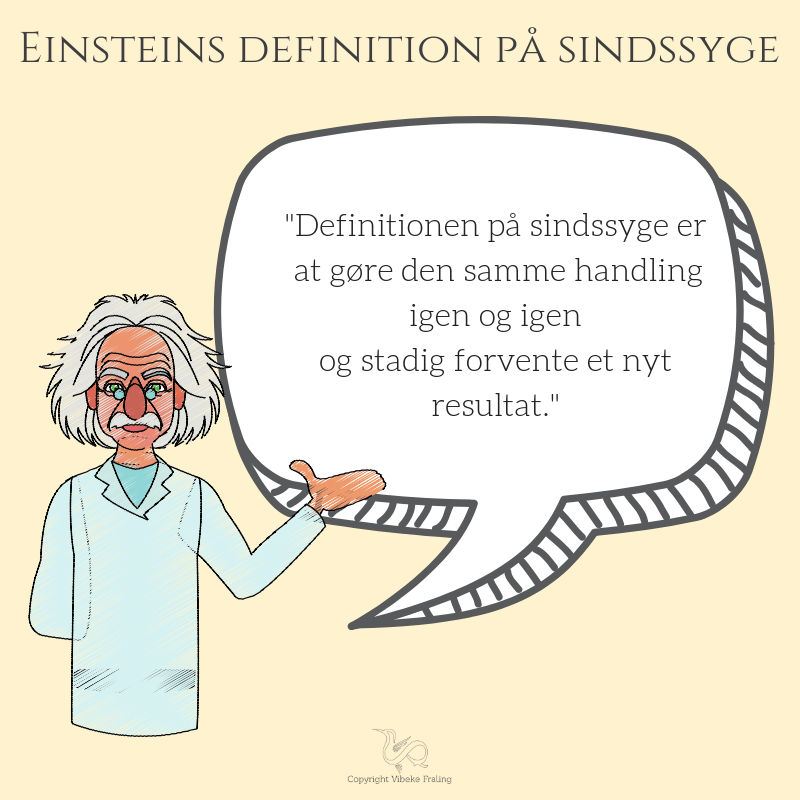 Einstein idioti citat