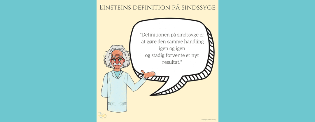 Einstein-idioti-citat cover