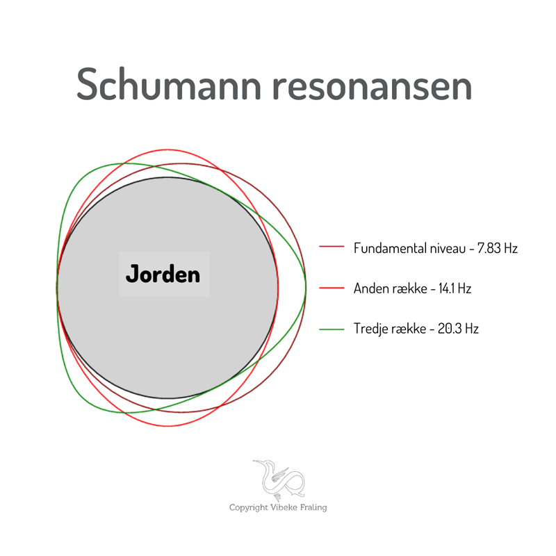 Hjerneboelger-Schumann-bevidsthed