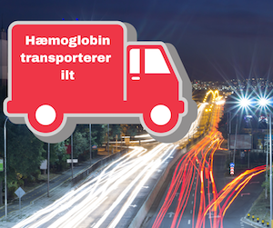 Rød lastbil Hæmoglobin transporterer