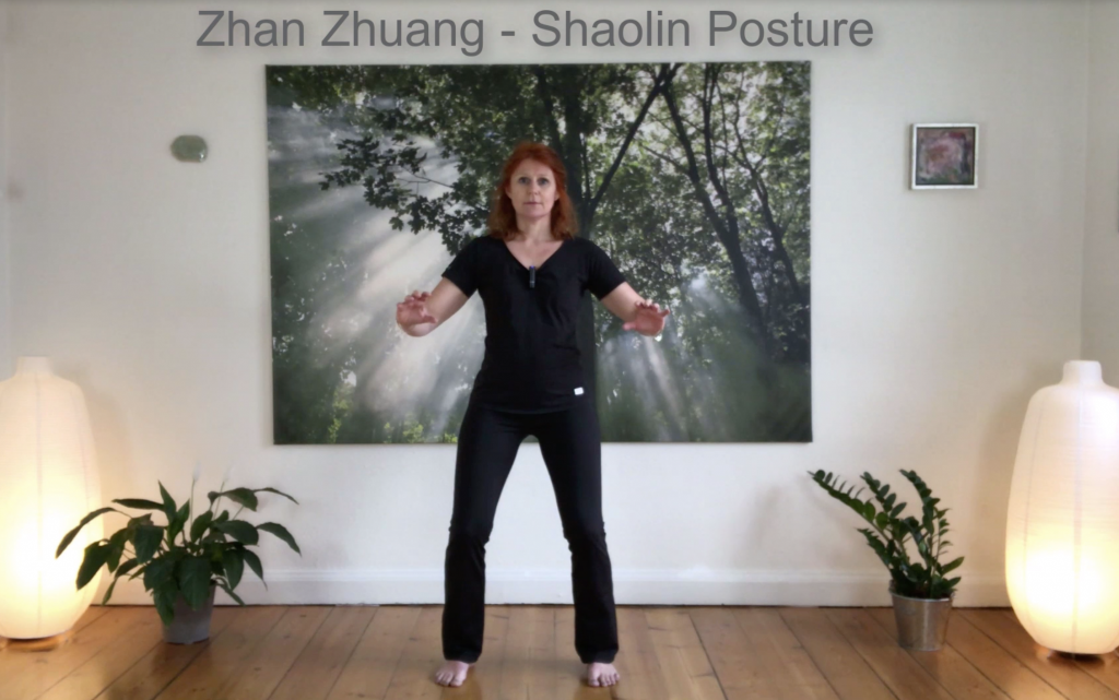 Shaolin-posture Zhan Zhuang