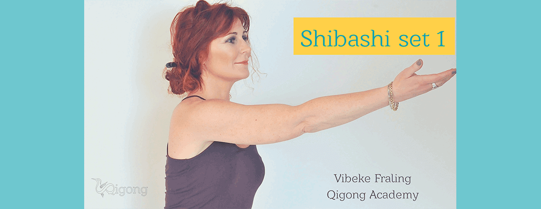 Shibashi-cover.