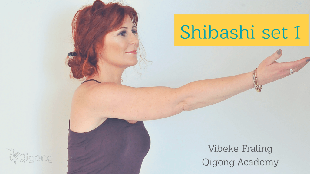 Shibashi-film-introbillede