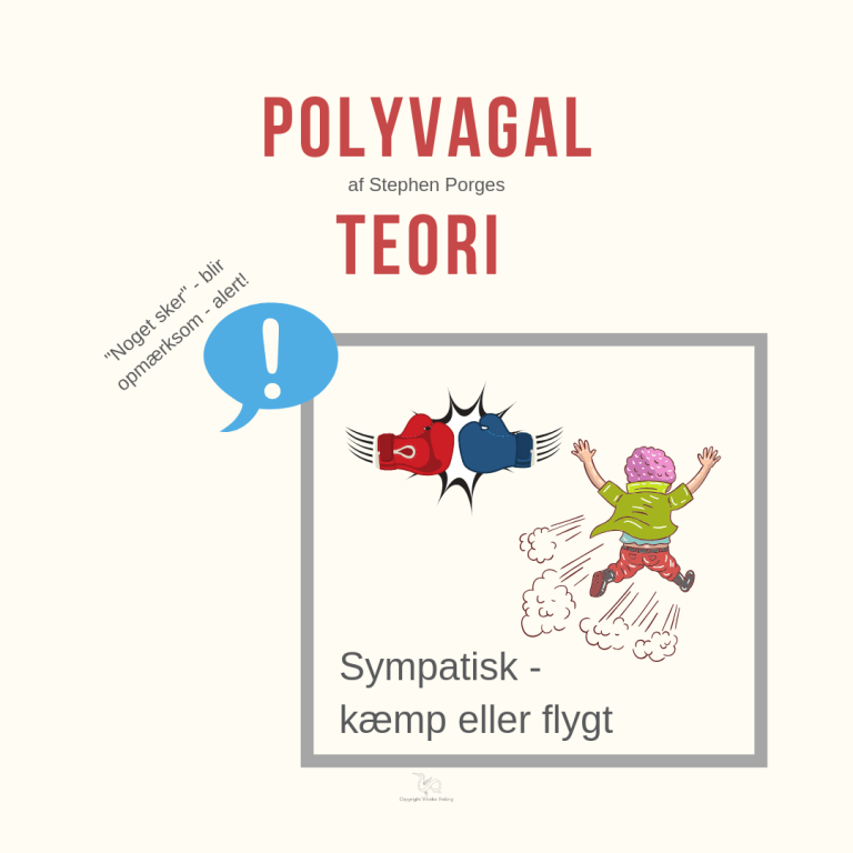 Sympatisk-kæmp-flygt-polyvagal-