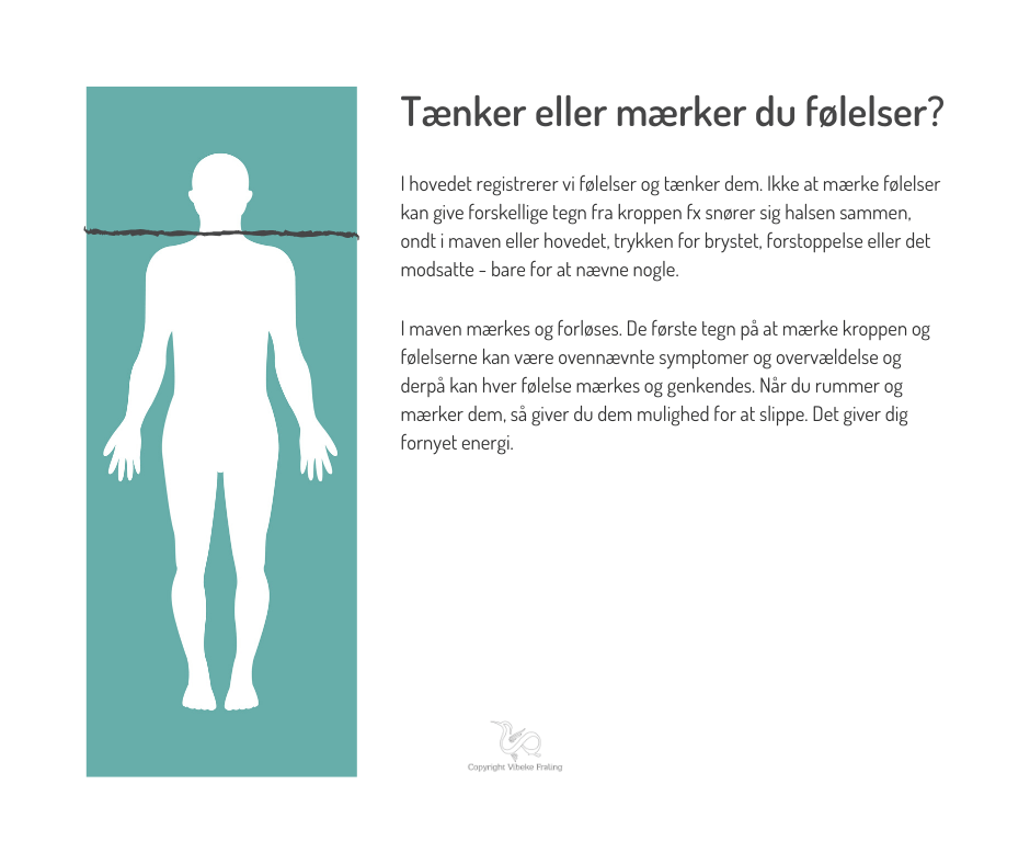 Tænker-eller-mærker-du-følelser