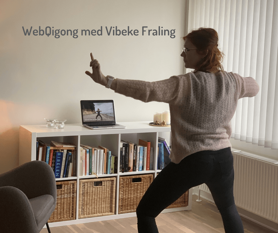WebQigong-Produktbillede