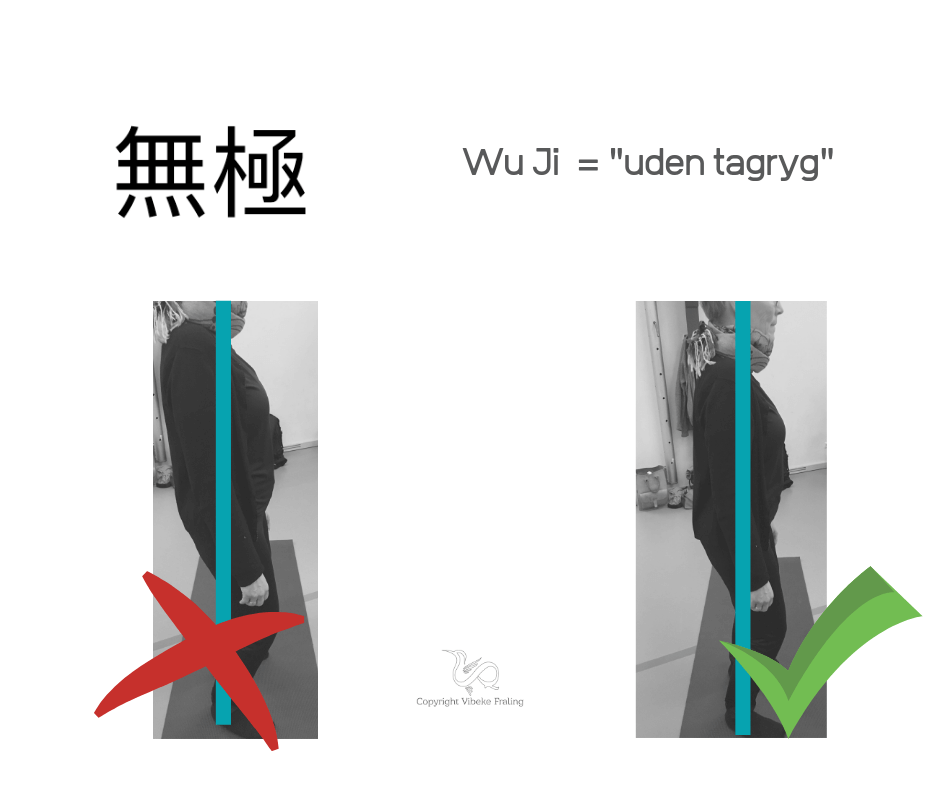 Wuji-stance-detaljer-gitte