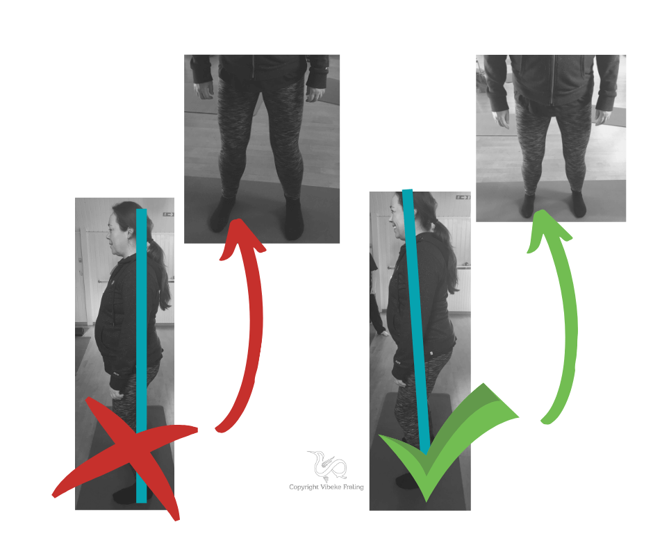 Wuji-stance-detaljer-mette