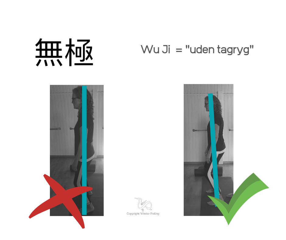 Wuji-stance-detaljer-tagryg-1