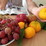 Frugter