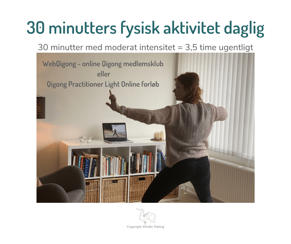 Webqigong foran computer med Vibeke Fraling
