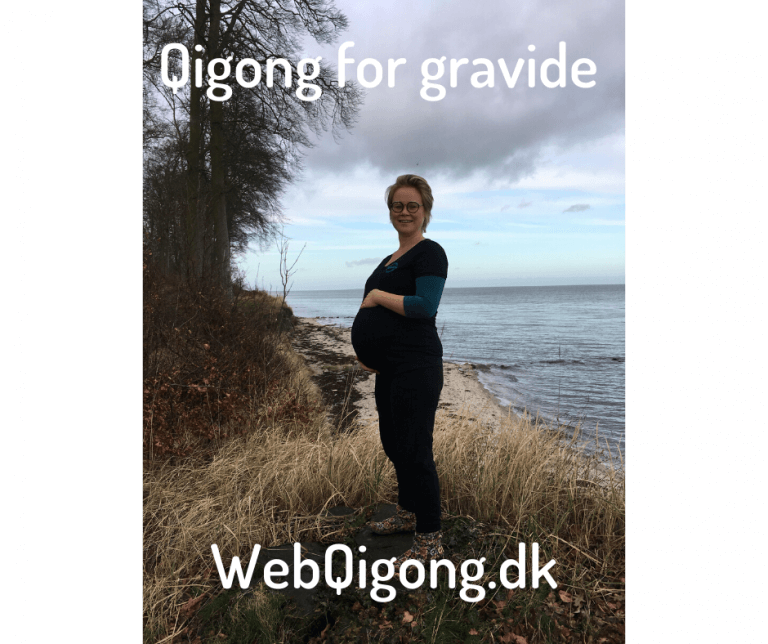 gravid-qigong cover
