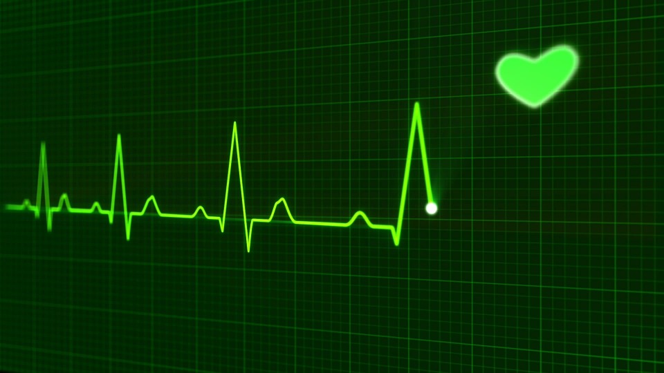 puls
