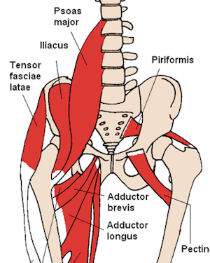 iliopsoas-stress-af-lille