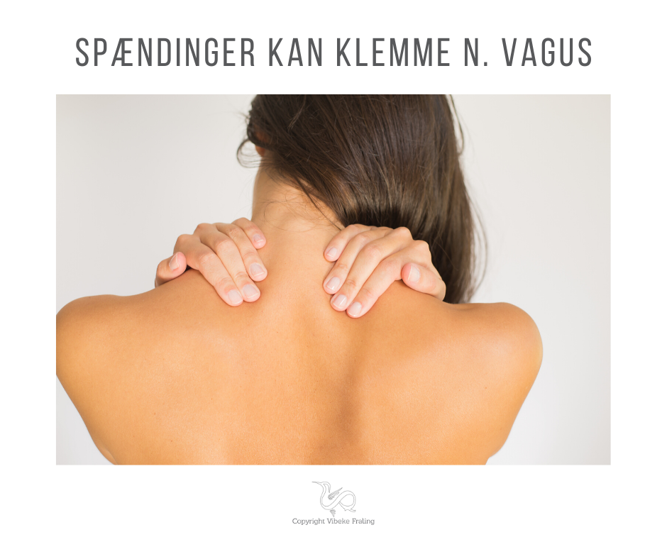 trapezius-spænding-højt-blodtryk