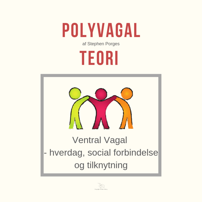 ventral-vagal-polyvagal