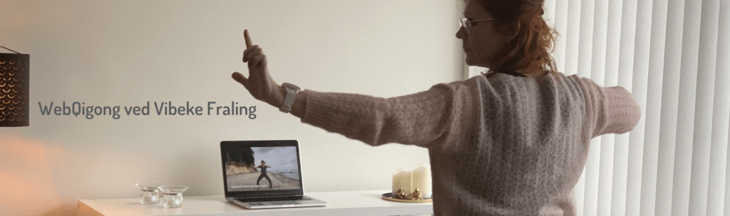 Webqigong banner