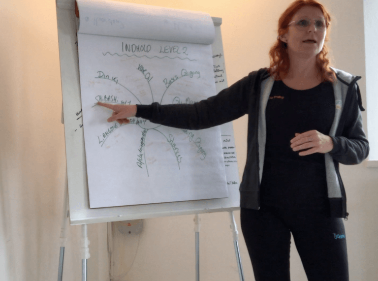 Workshop med Vibeke undeveriser ved flipover
