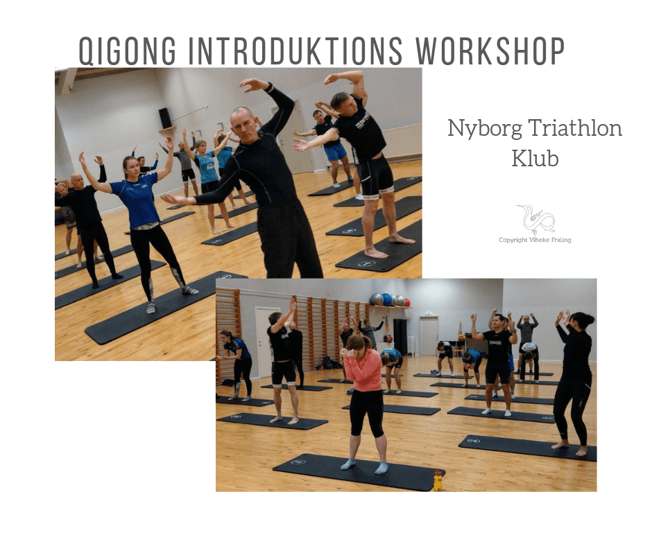 Qigong Workshop