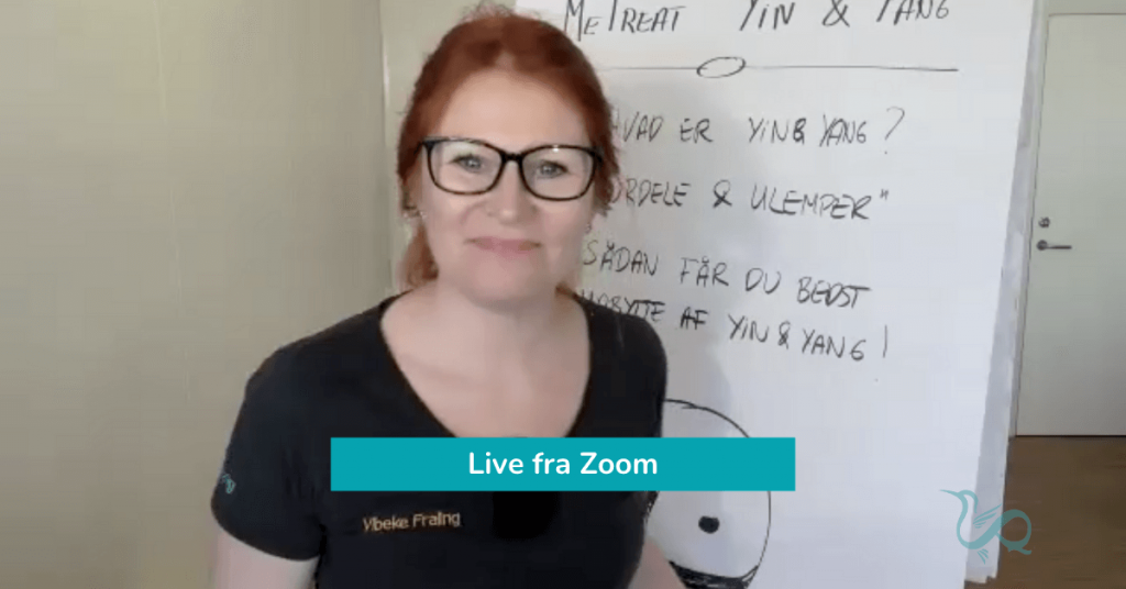 Metreat glimt af zoom online Metreat undervisning