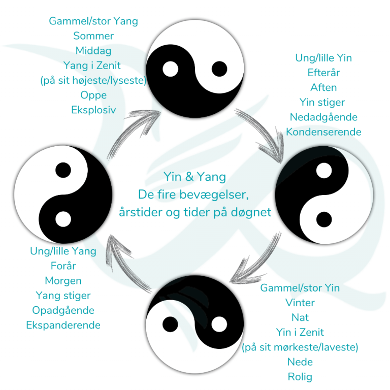 Ying Yang de fire bevægelser