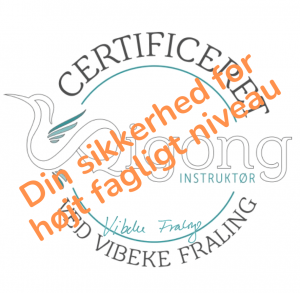 certificeret med høj faglighed cert. qigong instruktør uddannelse