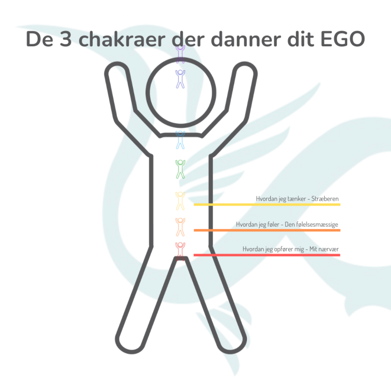 MeTreat 3 chakraer der danner dit EGO