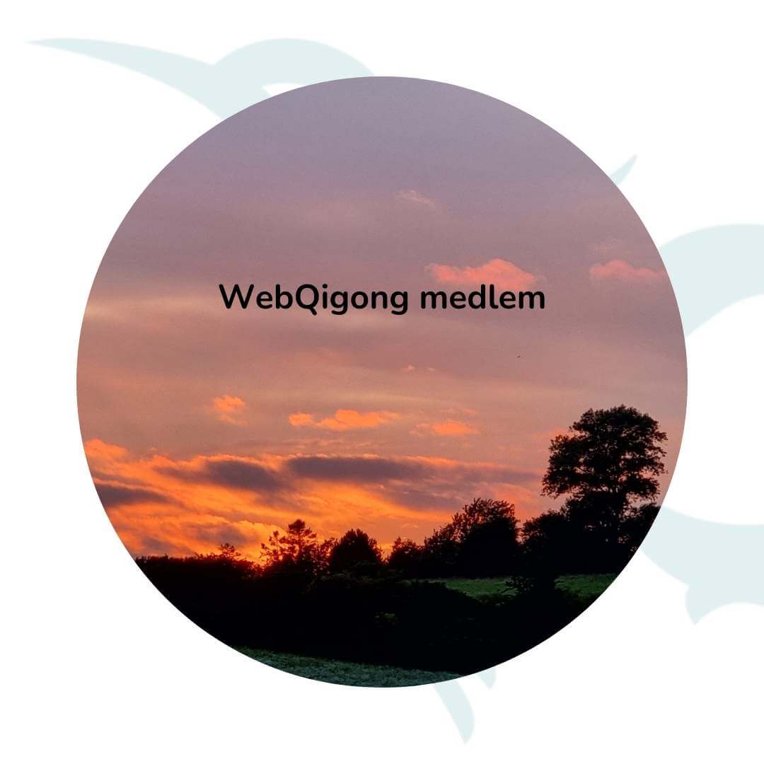 WebQigong medlem uden eget billede